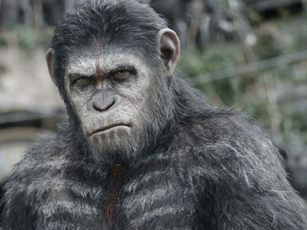 Cuál es la mejor película de la trilogía de El planeta de los simios