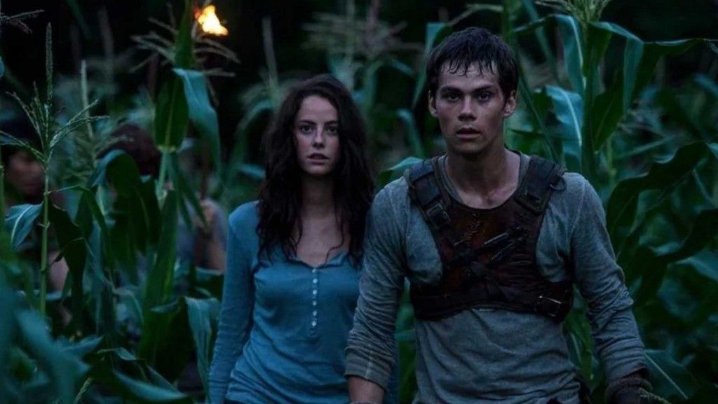 maze-runner