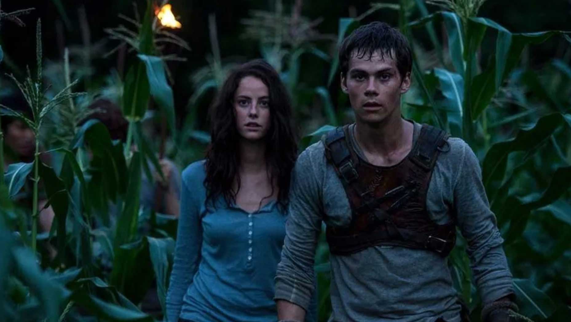 maze-runner