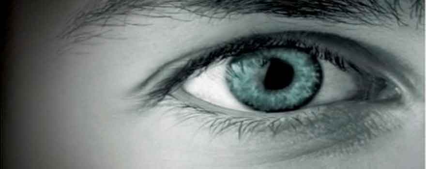 Cincuenta Sombras de Grey según Christian Grey