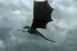 drogo1
