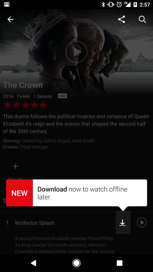 descarga-netflix