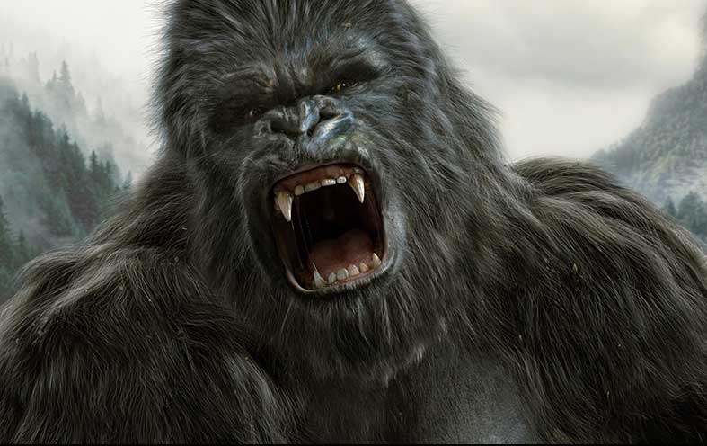kong