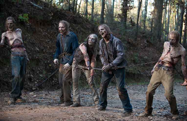 the walking dead