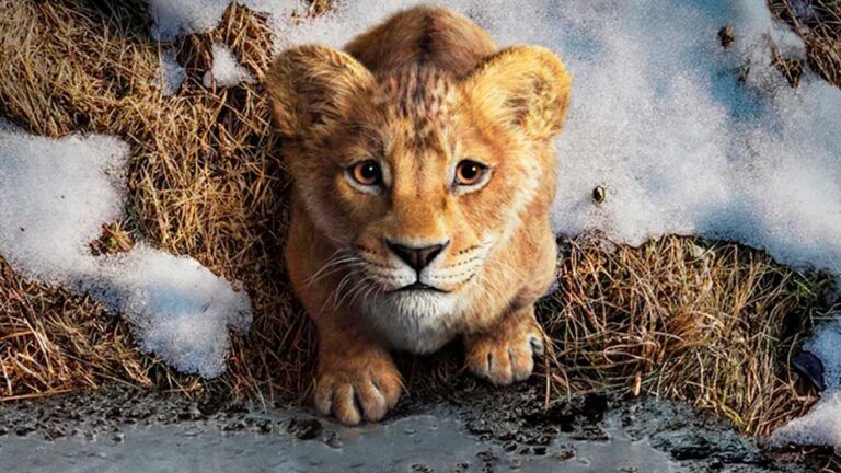 mufasa